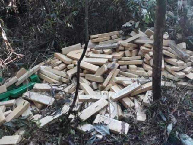 Pol&iacute;cia apreende meia tonelada de maconha escondida em matagal