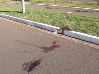 Hoje de manhã ainda era possível encontrar manchas de sangue no local do acidente (Foto: Paulo Francis) 