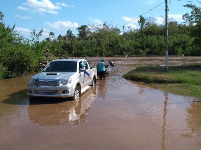 No meio da pescaria, tinha uma on&ccedil;a descansando em &aacute;rvore no Pantanal