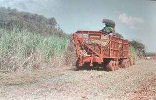 Volume de cana-de-açúcar processada cresceu 13% em Mato Grosso do Sul. (Foto: Kojiroh)