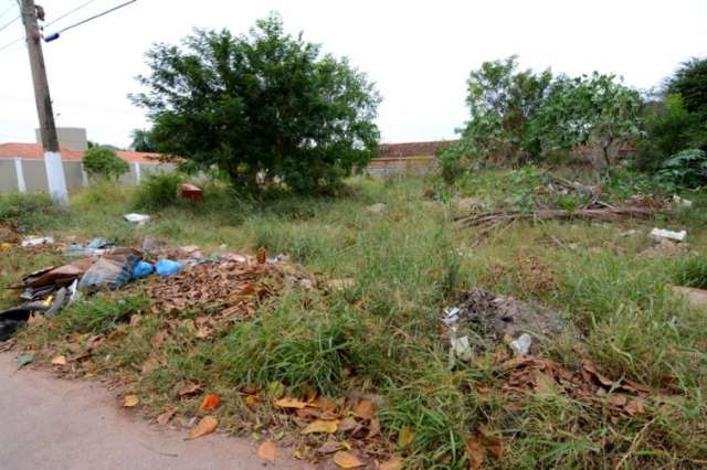 Morador que n&atilde;o limpar seus terrenos pode receber multas de at&eacute; R$5 mil 