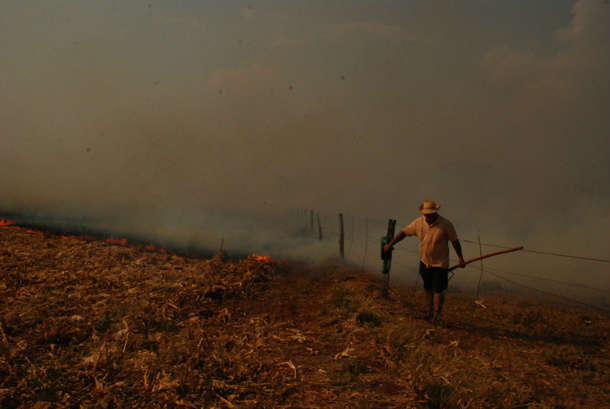  Inc&ecirc;ndio destr&oacute;i 100 hectares de planta&ccedil;&atilde;o e mata vaca em Culturama