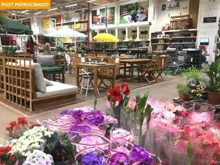 Loja fica florida, com plantas fresquinhas que chegam ao setor de jardinagem toda quinta. (Foto: Paulo Francis)