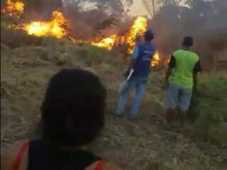 Moradores tentando apagar as chamas pelo terreno. (Foto: Direto das Ruas) 