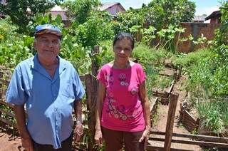 José e Odete cultivam de tudo um pouco no fundo do quintal. Para eles, vender o que colhem nunca foi uma opção. (Foto: Gustavo Maia)