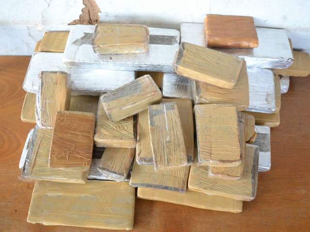  Disque-denuncia levou &agrave; apreens&atilde;o de mais de 800 kg em 6 meses