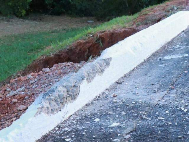 Motorista perde controle de carro, arranca árvore e para em ribanceira