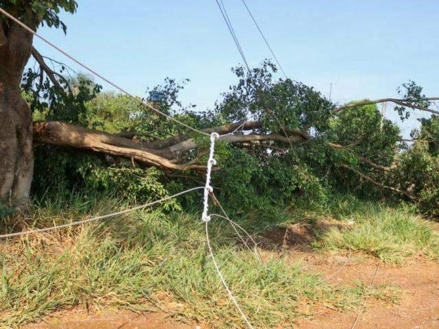 Depois de chuvarada, meteorologia emite alerta de tempestade de raios 