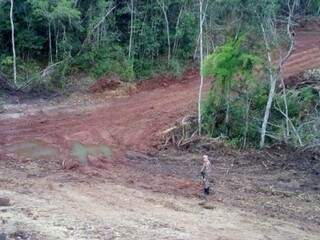 Parte de área desmatada na propriedade. (Foto: PMA/Divulgação) 