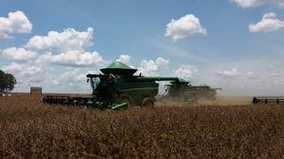 82% das lavouras de soja foram colhidas em Mato Grosso do Sul. (Foto: Aprosoja/MS)