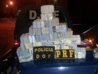 Dólares apreendidos com casal totalizam cerca de R$ 8 milhões de reais (Foto: Divulgação)