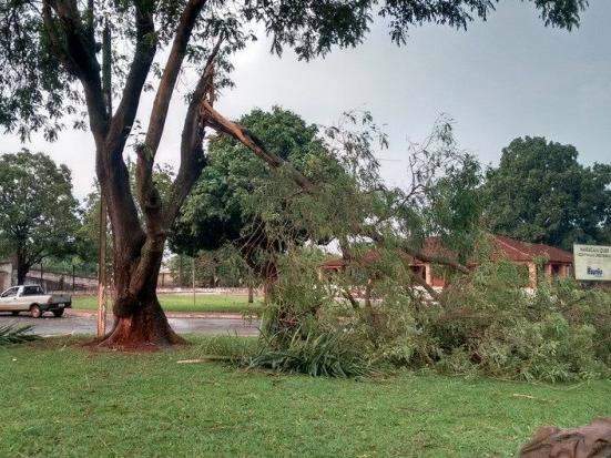 Temporal alagou bairros e vento de 72 km/hora derrubou nove &aacute;rvores