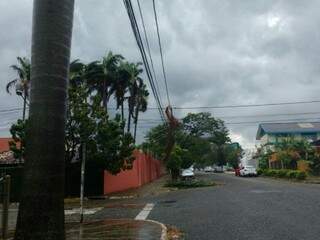 Galho em rede elétrica na Rua Alagoas (Foto: Amanda Bogo)