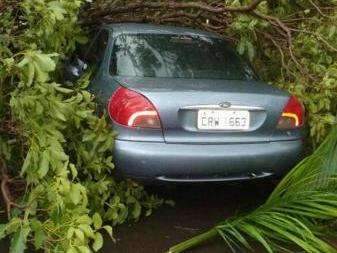Temporal com vento de 64,8 km/h deixa estragos e ferido por raio 
