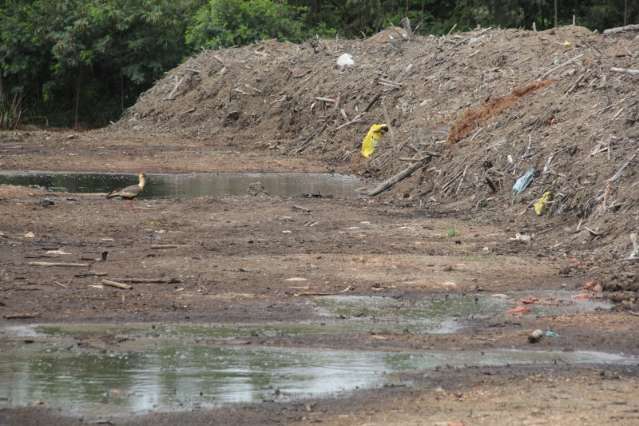 No bairro que fica com o lixo da cidade, a resist&ecirc;ncia de quem sonha 