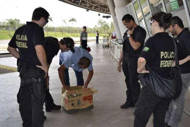 Sem n&uacute;meros, PF divulga fim de opera&ccedil;&atilde;o para conter crimes