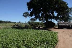 Produtores rejeitam R$ 80 milh&otilde;es e querem sa&iacute;da de &iacute;ndios de terras