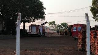 Bombeiros controlam incêndio em fábrica de paletes, no Distrito Industrial (Foto: Adilson Domingos)