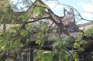 Árvore causou prejuízos ao destruir parte da fachada de imóvel (Foto: Marcos Ermínio)