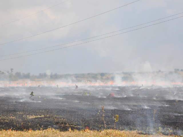  Minist&eacute;rio define per&iacute;odo de emerg&ecirc;ncia ambiental em MS