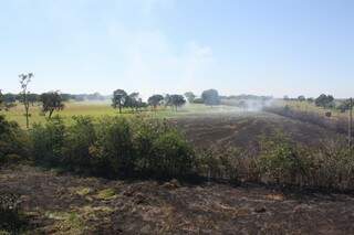 Pasto queimado de propriedade rural (Foto: Marcos Ermínio)