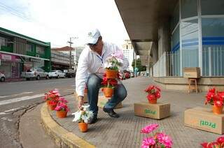 Preço acessível impulsionou venda das flores artificiais também. (Foto:Pedro Peralta)
