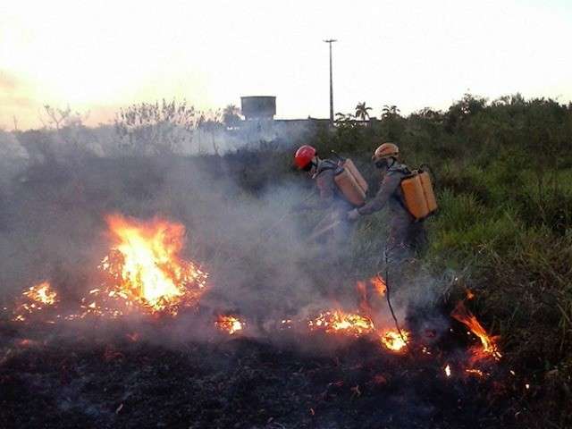 N&uacute;mero de queimadas dobra e setembro &eacute; o 2&ordm; m&ecirc;s com mais ocorr&ecirc;ncias em 2017