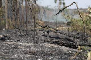 Risco de queimadas aumenta em períodos de estiagem. (Foto: Arquivo Campo Grande News)