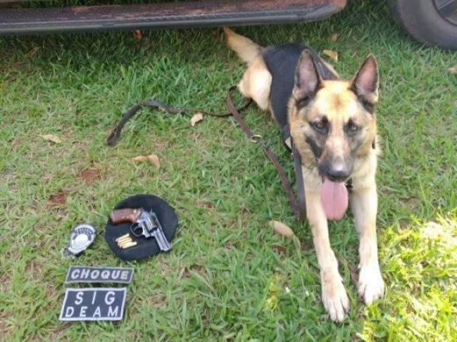 Suspeito de tr&aacute;fico, homem &eacute; preso com arma e muni&ccedil;&otilde;es de uso restrito 