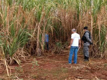 Mulher é encontrada morta e com sinais de estupro em canavial 