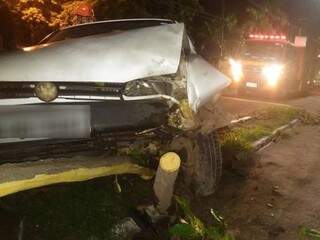 Veículo subiu em canteiro e bateu contra árvore. (Foto: Divulgação/Corpo de Bombeiros)