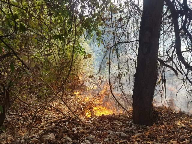 Sem tr&eacute;gua da estiagem, fogo no mato &#039;inferniza&quot; vizinhos a terrenos baldios