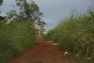 Rua Ariquemes, no Bairro Guanandi II. (Foto: Cleber Gellio) 