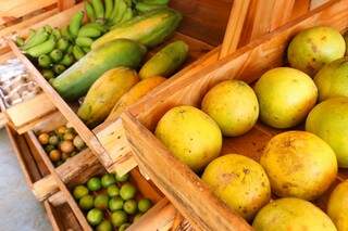 Frutas como laranja, mamão e banana verde são expostas (Foto: Henrique Kawaminami)