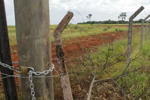 Rebanho rompe cerca da Embrapa, foge e vaca cai em fossa de casa