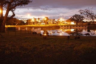 Cercado para as capivaras não entrarem na área residencial. (Foto: Cleber Gellio)