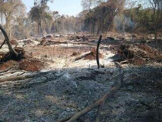 Área em reserva de Aral Moreira ficou com o cenário de destruição (Foto: PMA/Divulgação)
