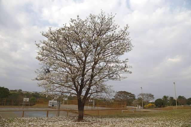 Tempo nublado e tr&eacute;gua no calor intenso em Mato Grosso do Sul 