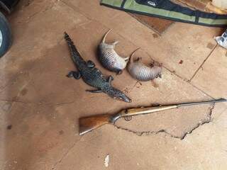 Em Selvíria, três animais foram abatidos e dois caçadores foram autuados ainda na mata, por policiais da Rotai (Ronda Ostensivas e Táticas do Interior) (Foto: Divulgação/PMA)