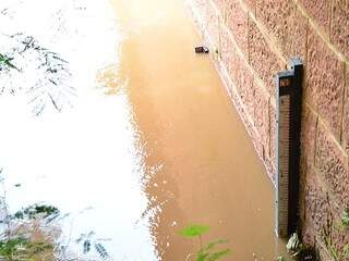 Nível normal do rio é de até 5 metros, mas chuvas fizeram índice ultrapassar 7 metros. (Foto: Rhobson Lima/ O Pantaneiro)