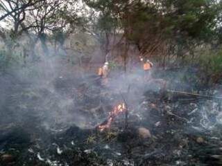 Equipes ainda combate o fogo em propriedade rural (Foto/Divulgação)
