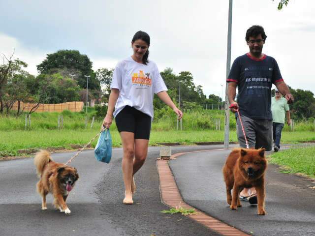  Cachorros t&ecirc;m entrada livre neste domingo no Parque do S&oacute;ter