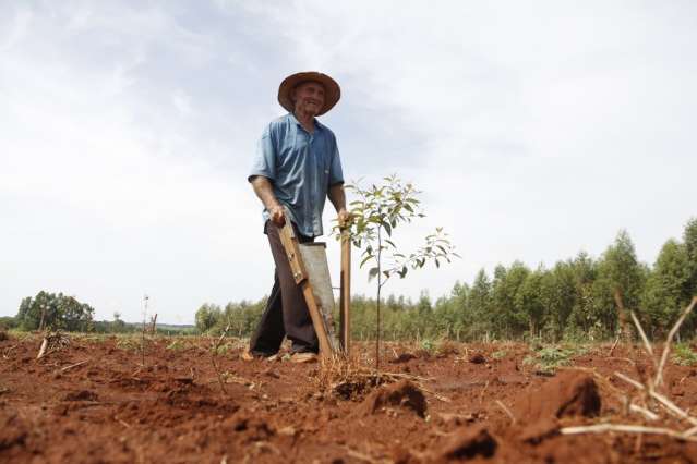 Agricultura familiar investe mais e banco quer aumentar cr&eacute;dito em 10% 