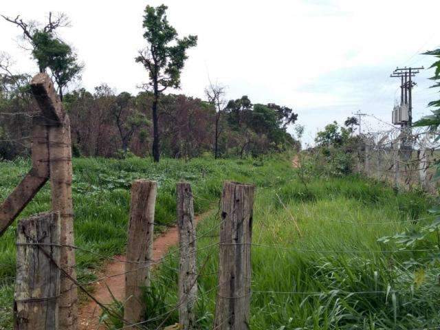 Mulher encontrada morta em matagal tinha 24 anos e estava desaparecida 