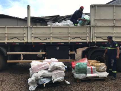 PF destrói 13 toneladas de drogas apreendidas em três meses na fronteira 