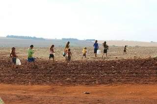Índios da reserva de Dourados cortam área de lavoura a pé para pegar água (Foto: João Rocha/O Progresso)