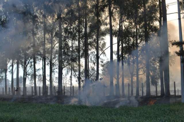 Inc&ecirc;ndio toma conta de vegeta&ccedil;&atilde;o pr&oacute;ximo a rodovia na sa&iacute;da para Sidrol&acirc;ndia