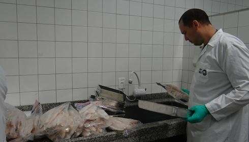 Tr&ecirc;s marcas de pescado s&atilde;o reprovadas em fiscaliza&ccedil;&atilde;o