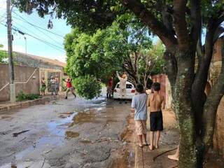 &Aacute;rvores desabam com vento, atingem carro e quase levam poste abaixo