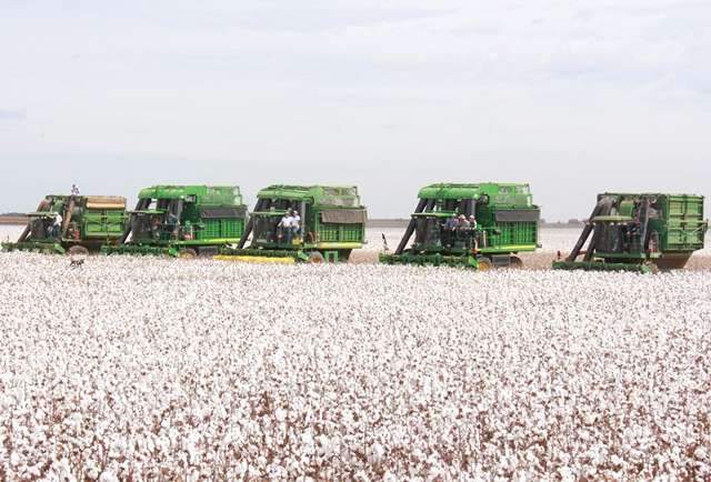 Soja deve ter alta de 15% e agricultura estima 16 milh&otilde;es de toneladas